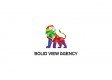 Solid View Agency logo