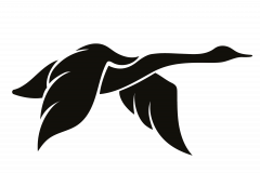 Swan Song Coffee logo