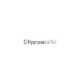 Hypnoseinstitut Bremen - Hypnosetherapeut Simon Brocher logo