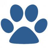 Laxey Cattery