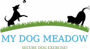 My Dog Meadow