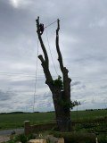 Rw Landscaping Limited