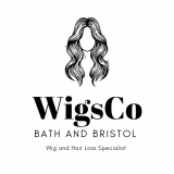 Wigsco Bath And Bristol logo