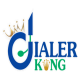Dialerking Technology logo