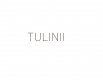 Tulinii