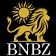 Banknote Bazaar logo