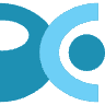 Pragmatic Consulting Limited logo