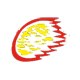 Burner & Boiler Spares Limited