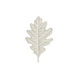 Darroch Learg Hotel logo