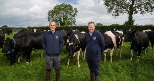 Dale Farm Ice Cream Limited
