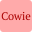 Cowie Technology Group Limited