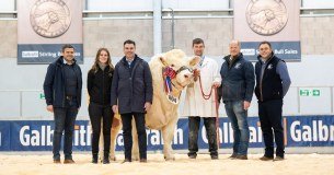 British Charolais Cattle Society Limited logo