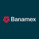 Banamex Investment Bank Plc logo