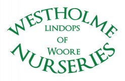 Westholme Nurseries