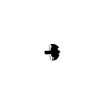 Bird Guides