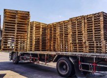Associated Palletts Limited