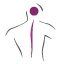 Birkdale Paediatric & Adult Neuro Clinic logo
