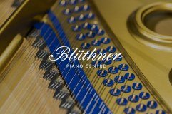 Bluthners Piano Centre Limited