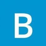 Bridge Gallery logo