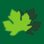 Broadleaf Management Services logo