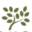 Asprey Homes Limited