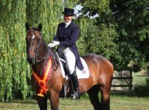College Farm Equestrian Centre logo