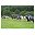 Corrylair Farm Trekking Centre