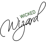 Wicked Wizard Fancy Dress