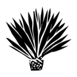 Wigglesworth & Co. Limited