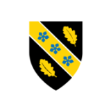 Carmarthenshire College - Coleg Sir Gar logo