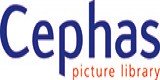 Cephas Picture Library Limited