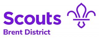 Willesden District Scouts logo