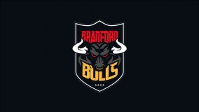 Bradford Bulls Rugby League Football Club logo