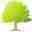 Ashley Timber Limited