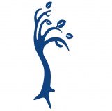 Avon Timber Merchants Limited