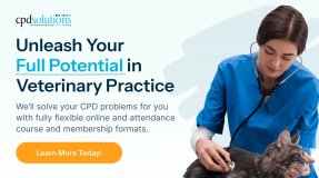 C P D Solutions logo