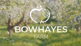 Bowhayes Trees