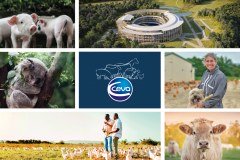 Ceva Animal Health logo