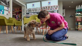 Cheshire Pet Medical Centre Limited