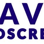 A V Windscreens Limited logo