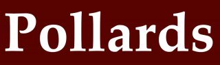 A Pollard & Son Limited logo