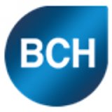 Bch Digital Limited