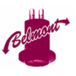 Belmont Ndt & Quality Services logo