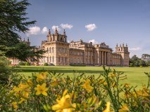 Blenheim Horse Trials logo