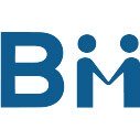 Bm Software Solutions Limited