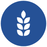 Camgrain Stores Limited logo