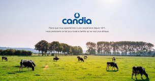 Candia UK Limited logo