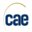 Centre For Accessible Environments logo