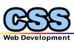 Custom Software Systems