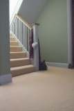 Endurance Carpets Limited logo